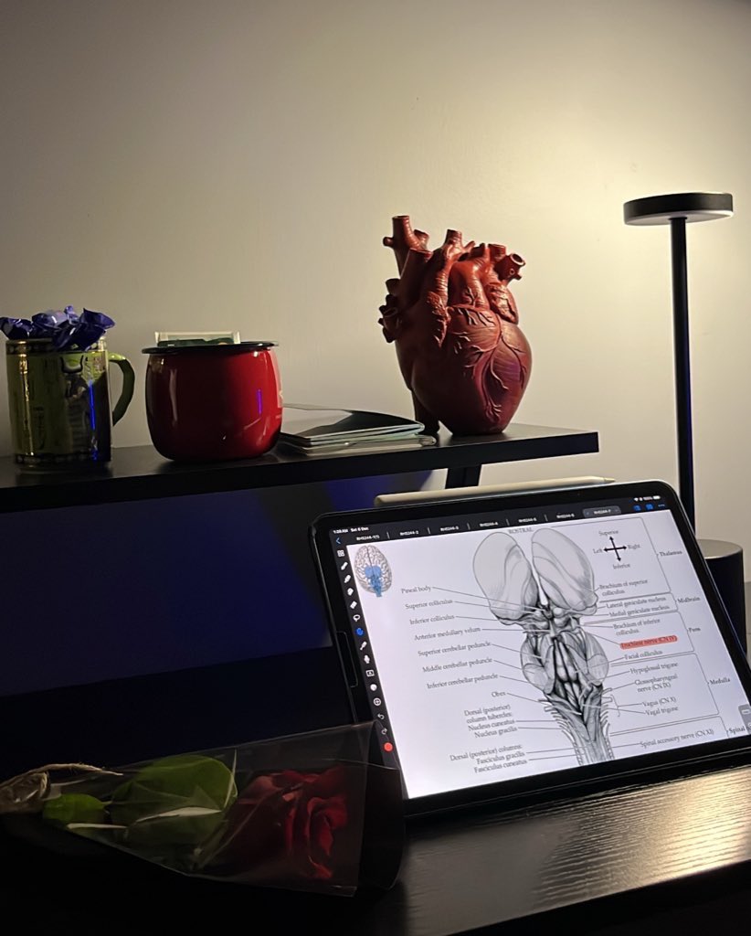 Mohammed. tweet media