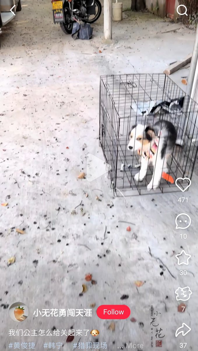 yourcpisfake's tweet photo. This cage is so small. Poor dog. Hjj shouldn't bring a dog if he can't take proper care of it. I feel so bad for the poor dog. https://t.co/abwzzcRgh3