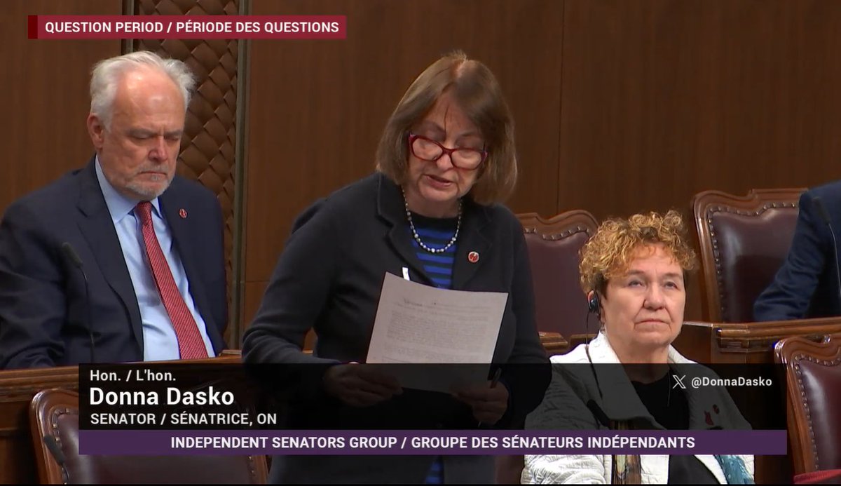 Polysesouvient's tweet photo. Thank you Senator @DonnaDasko for your excellent question regarding the excessive delays in bringing into force crucial measures to protect victims of intimate partner violence passed two years ago #Dec6 https://t.co/9fc3d3v92C https://t.co/C0i6aWyWkm