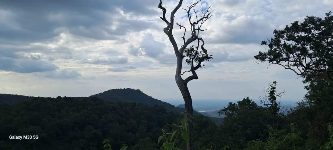 MYVOICE_111's tweet photo. Silent hills, cloudy skies, and a lone tree standing strong โ natureโs beauty and power in one frame. ๐ฟ#NaturePhotography #Hills #CloudySky #Wanderlust #TravelTelugu #GalaxyM33 #ForestView #NatureLovers #MorningVibes https://t.co/gUhWKfoV6i