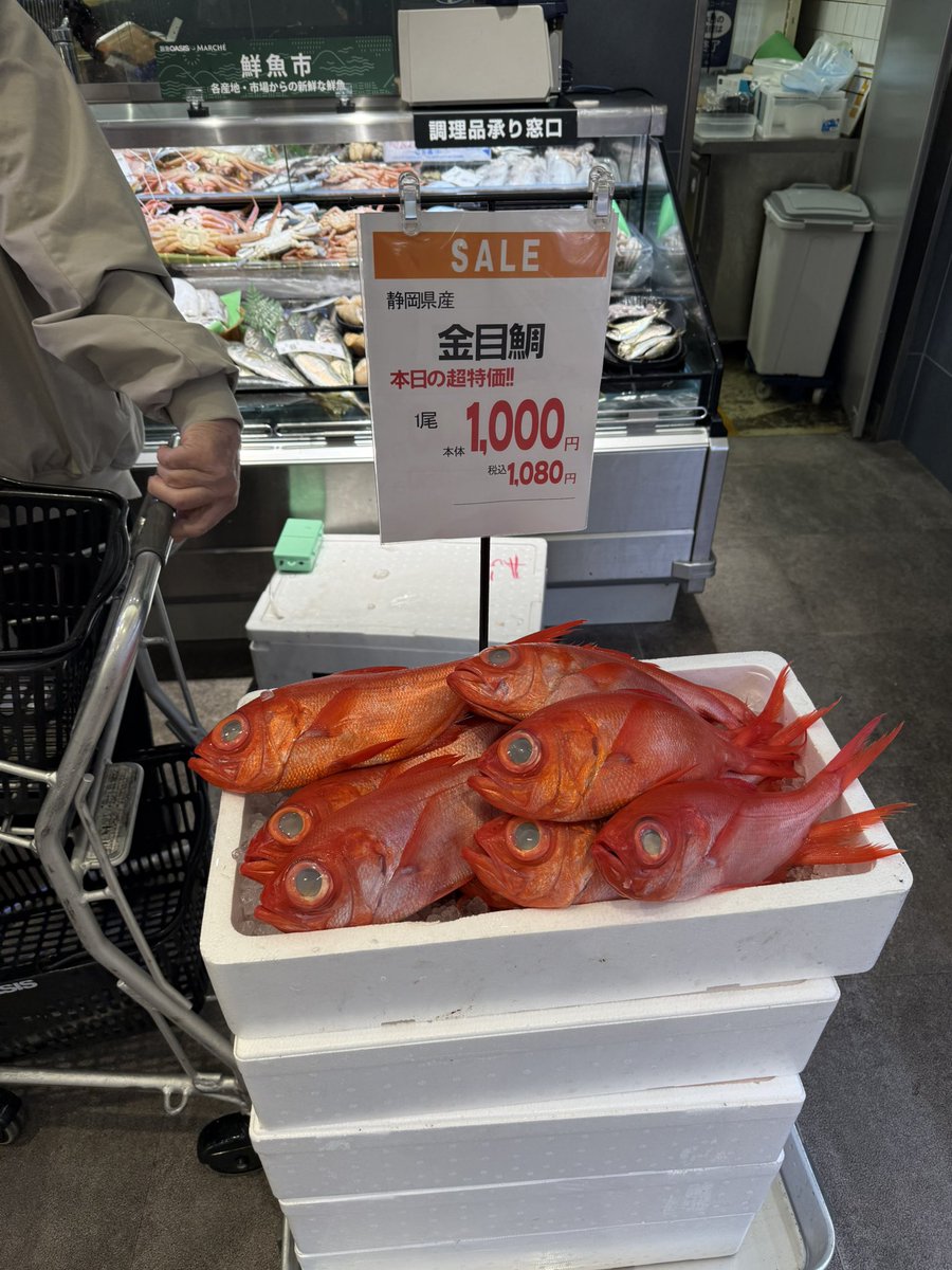 ポン酢レッサ (@ponzu0147) / Posts / X