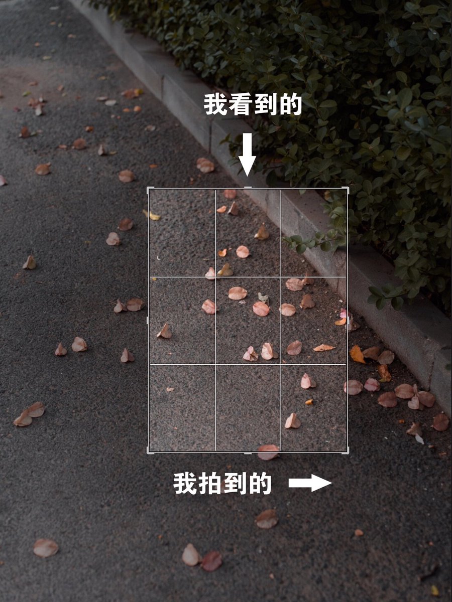 gar_y4's tweet photo. 新手拍好照片第一步：找「简洁背景」！避开杂乱电线/路人，让主体像从画面里「跳」出来～附1个小技巧：手机打开「网格线」，把主体放交叉点，构图更稳 https://t.co/zEYx7sc8GI