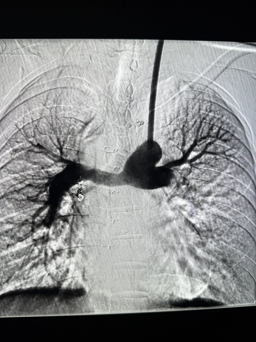 Osman Ahmed tweet media