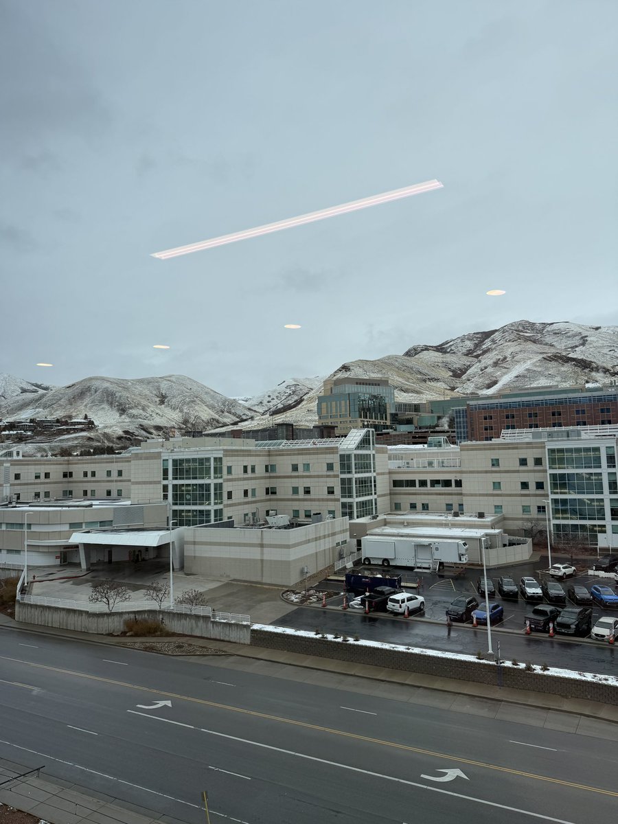 Osman Ahmed tweet media