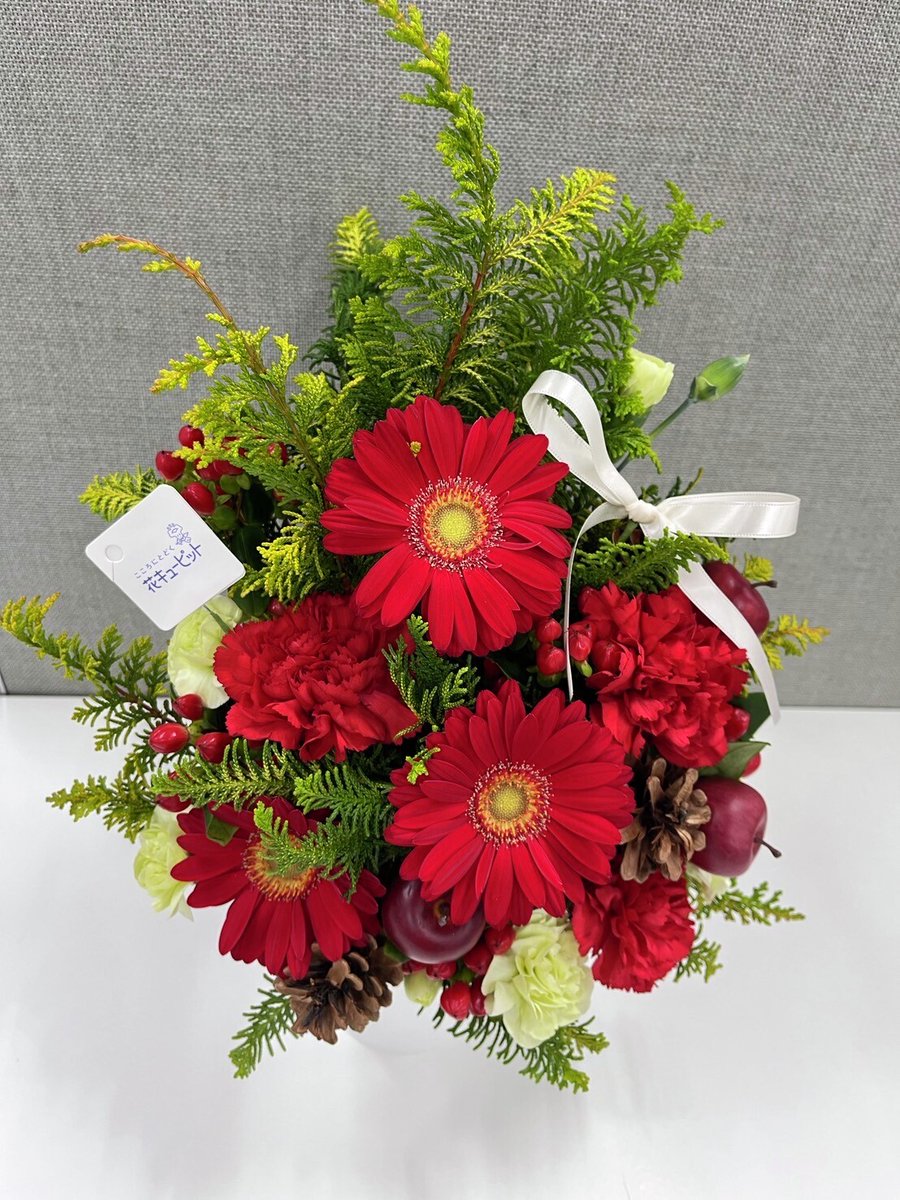 🌸 #花咲かタイムズ ✨🌷今週の花🌷✨ 「クリスマスのツリー風