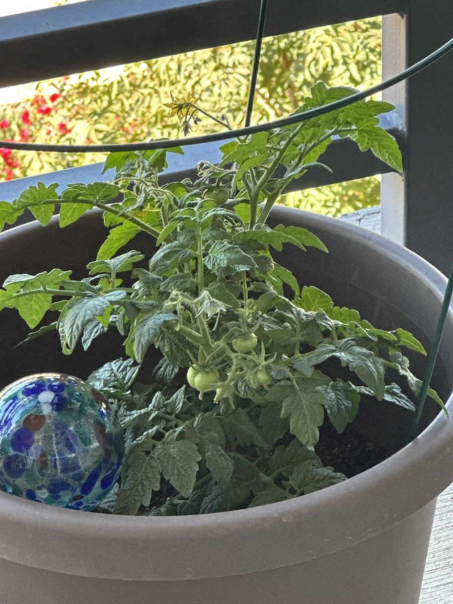 Andrew Betcher (홍남호) tweet media