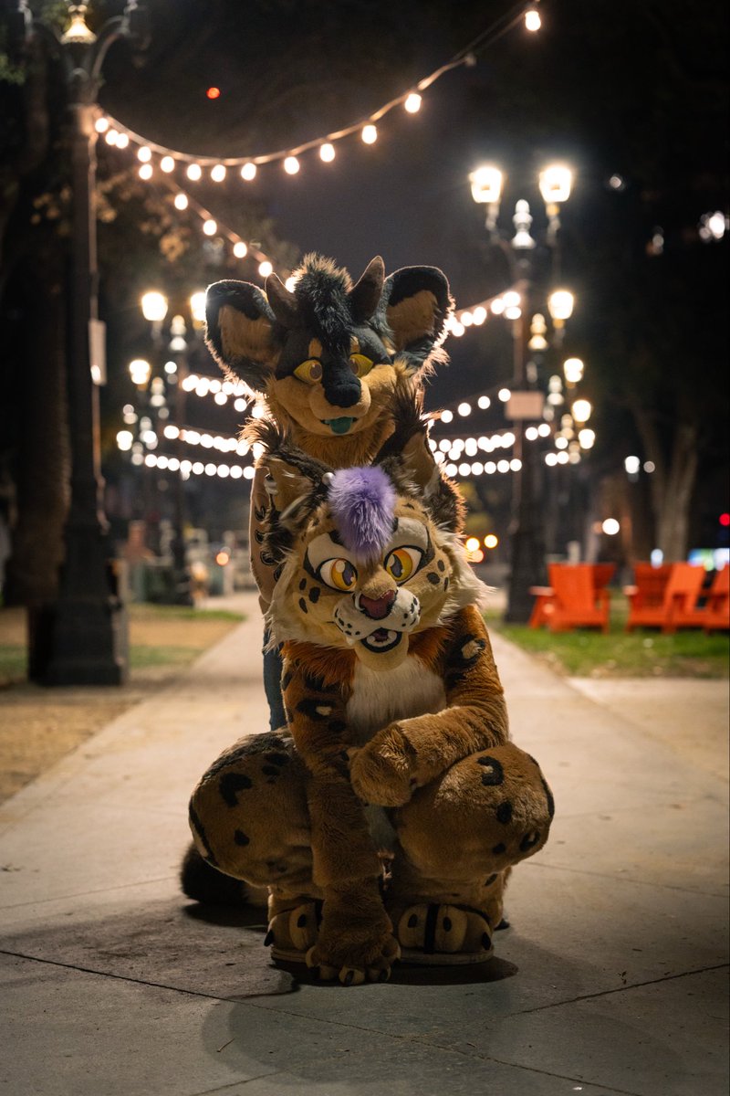 _founded_'s tweet image. Pretty park, prettier dergpuppy, prettiest kitty! 

🐱: @KOTOROROCKS 
📸: @blueinthewater 

#fursuitfriday #furry