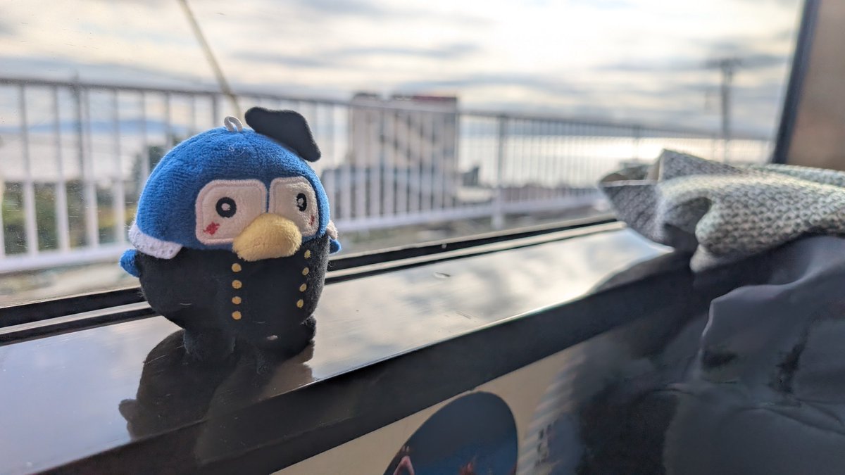 片瀬白田駅で上り電車待ち。
の、ぺるりん😊

#旅するぺるりん
#伊豆
#下田