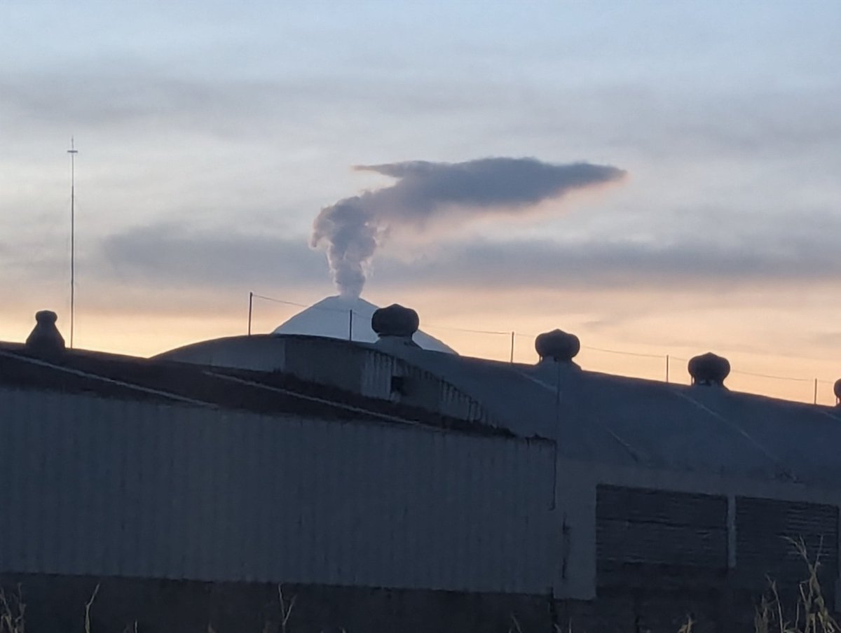 IsiuX's tweet photo. Y vieron el delfín del #Popocatepetl hoy?? Visto desde #Puebla 😁🐬 https://t.co/z572Odrh57
