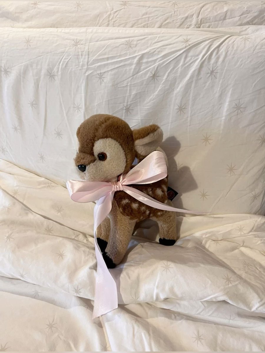 r ˚⟡˖ ࣪ tweet media