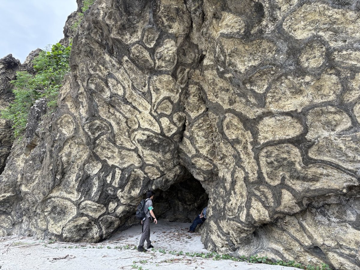 田村芳彦 tweet media