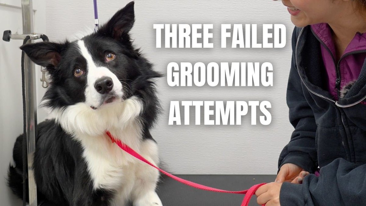 Discord wrapped be like