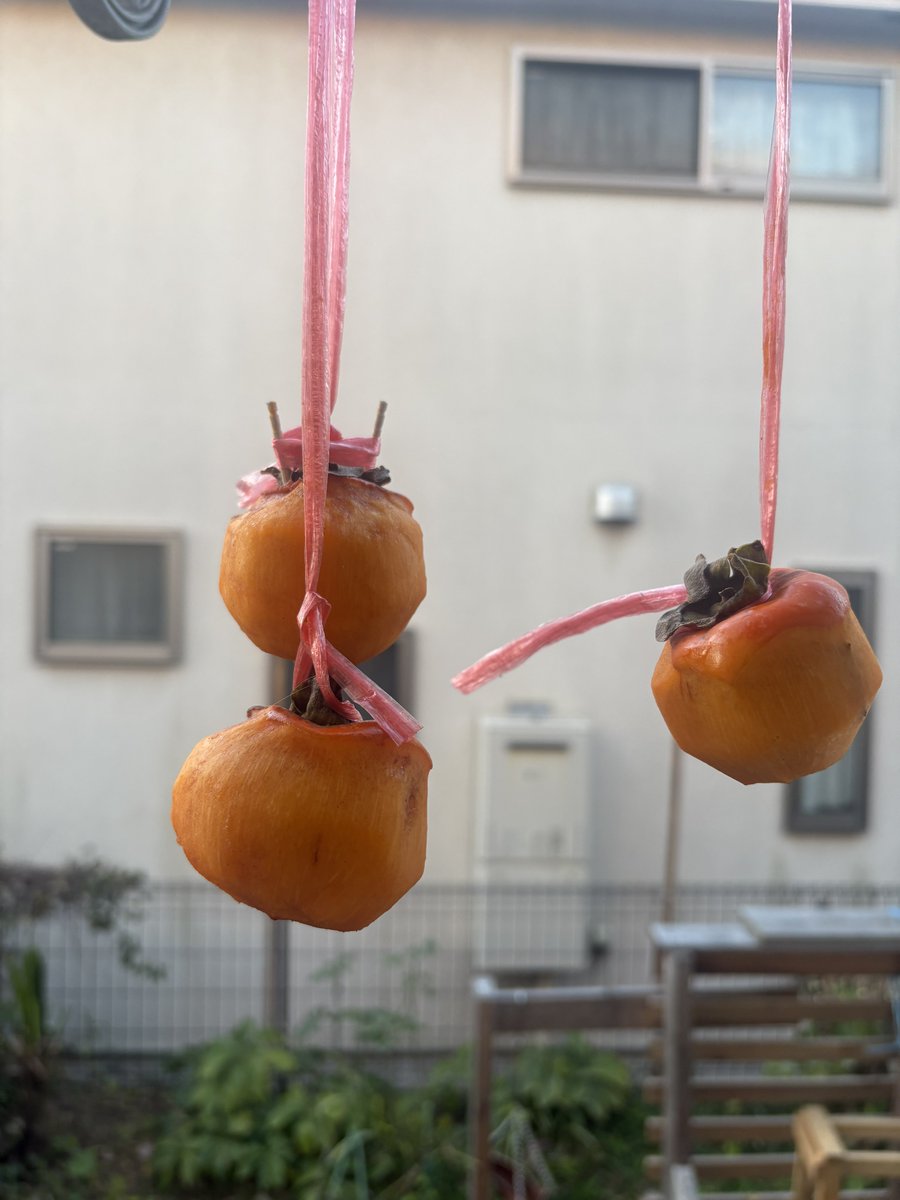 無人販売所で買った柿がなんと渋柿🤣
捨てるのももったいないので、たった3個だけど欲してみました👍