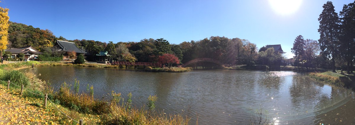 来夢来人(緑の燐光) tweet media