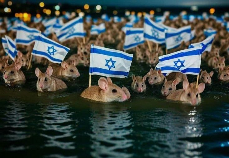 الكيان الذي كان يَدّعي القوّة، أصبح اليوم أصغر من أن يواجه الحقيقة…
سقطَ وهمُه، وانكشف ضعفُه أمام صمود الحق.
🔥🇵🇸💥