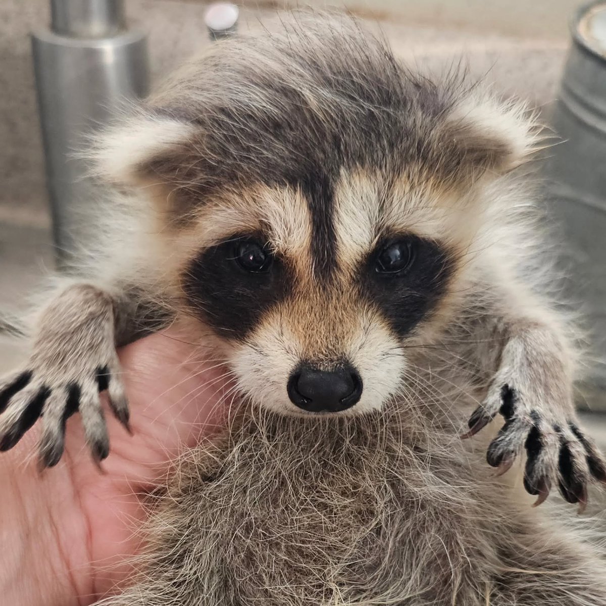 Cute baby