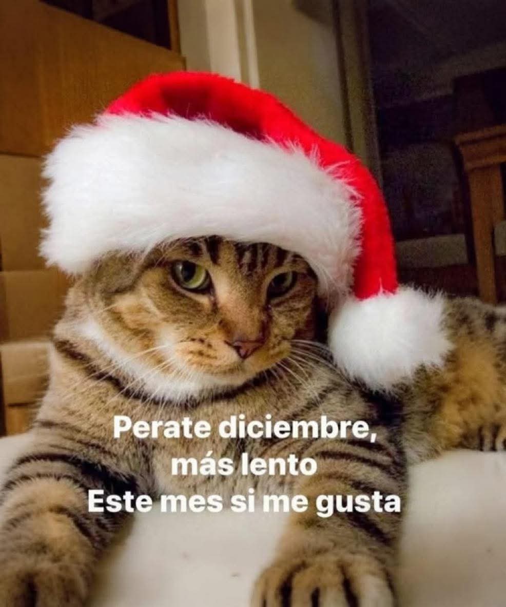 Animalesaprieto's tweet image. 