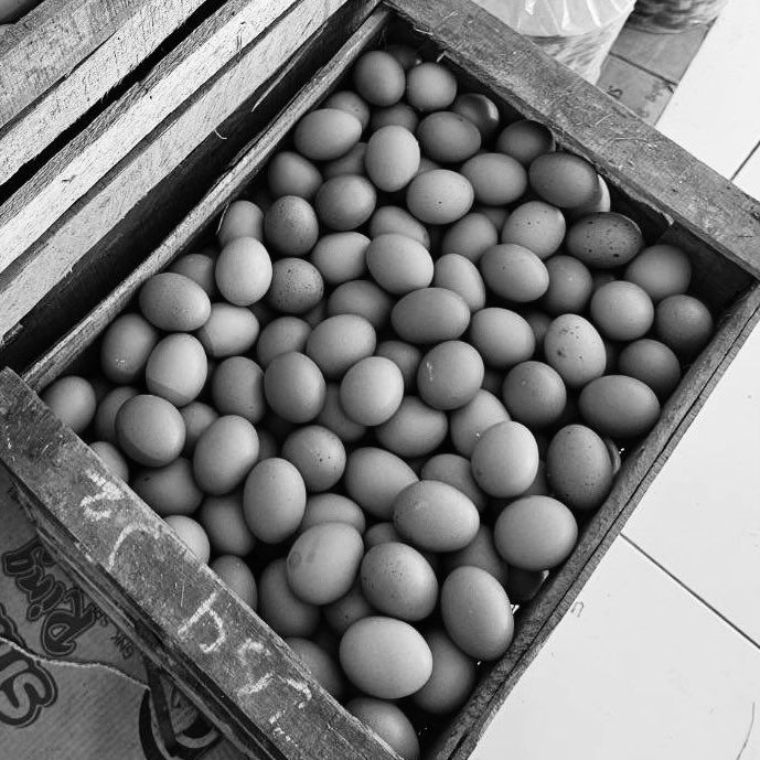 gulapasirkiloan's tweet image. ⠀⠀⠀⠀ 
“Kenalannya nanti dulu gimana?
Mau infoin aja, tengah bulan nanti harga mereka naik drastis per-kilogramnya. 
Mau beli? Toko saya one call away kok”

( Pemilik toko kelontong di Jakarta Selatan, kelahiran 1997. Mari berkawan! )
⠀⠀⠀⠀