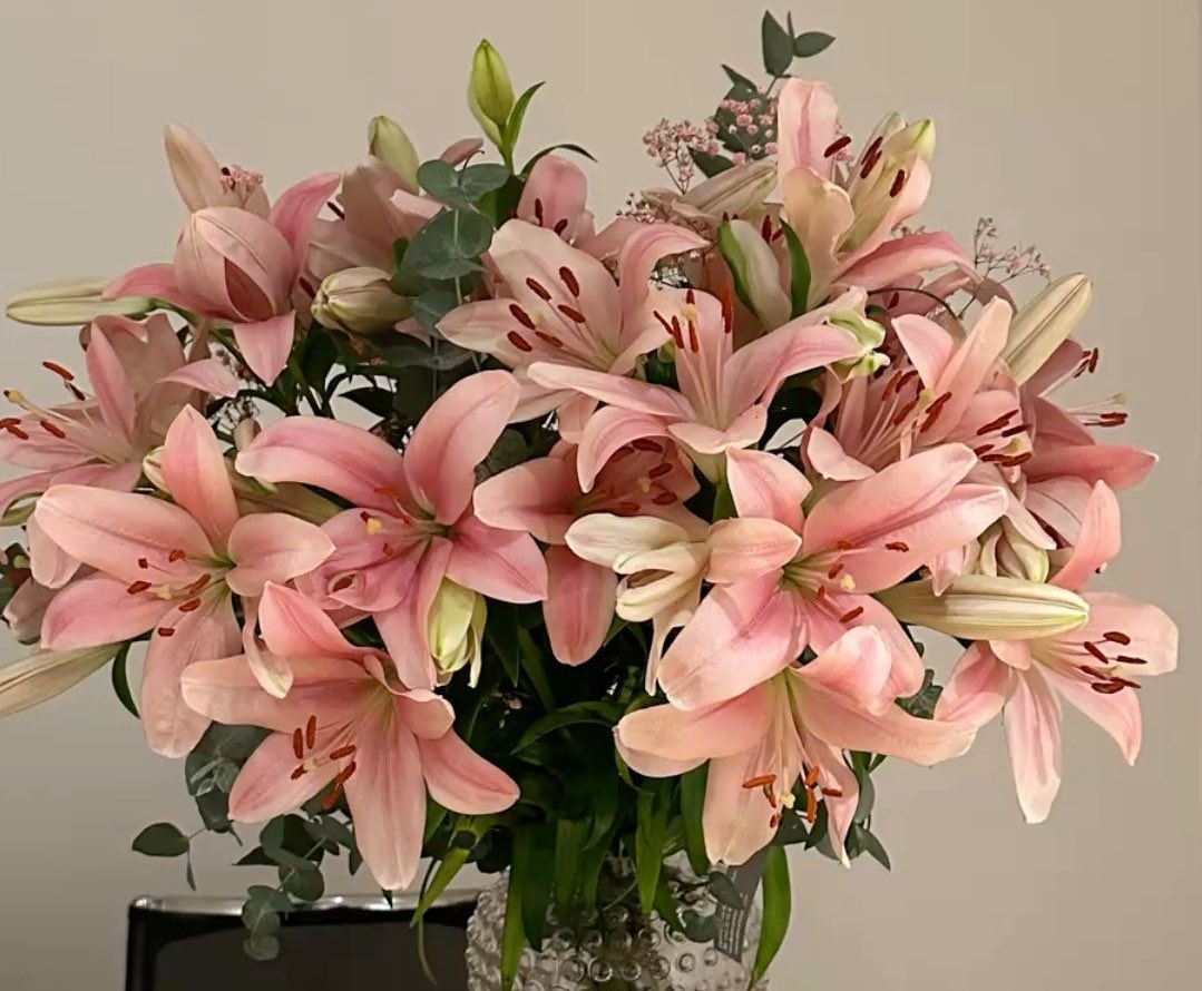 ik8ii's tweet photo. I want flowers https://t.co/m7S9tghFrw
