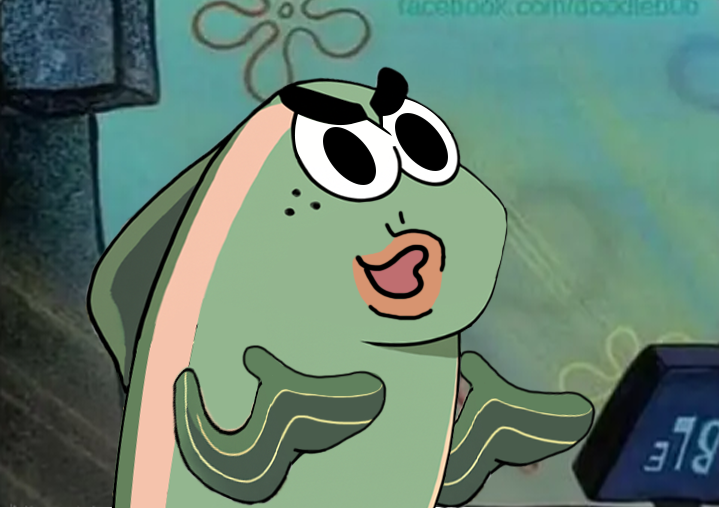 SoraShiro🔺🐶 tweet media