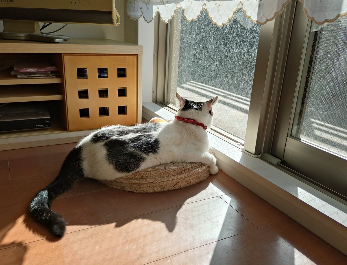 みぃ。ページです MiSide : ミサイド 03】こわいよ～～～！！！！！【#すずてぃま