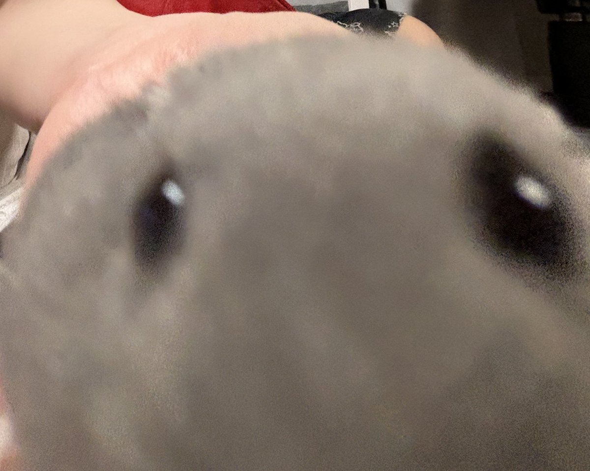 666 (@yuuayy22) on Twitter photo 