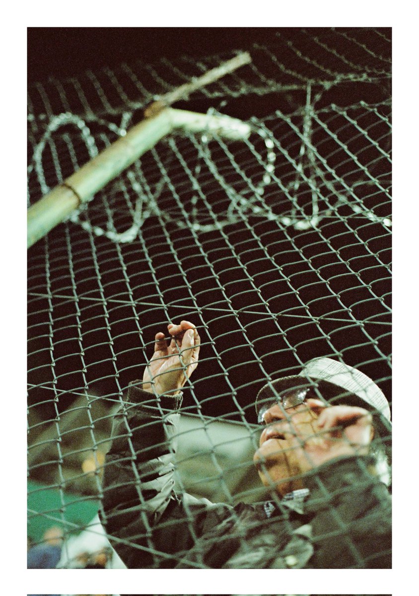 motor pisto tweet media