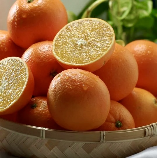 ネーブルオレンジ