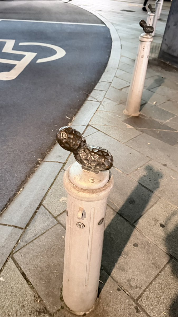 千葉に前入り。夜にホテル向かってたら、2度見した。なんだ、落花生だったか…