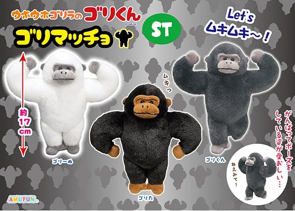 若い方を中心に根強い人気のゴリくんシリーズ最新作🌟🦍 【 ウホウホ