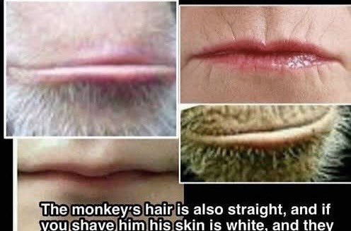 KenoCombs tweet media