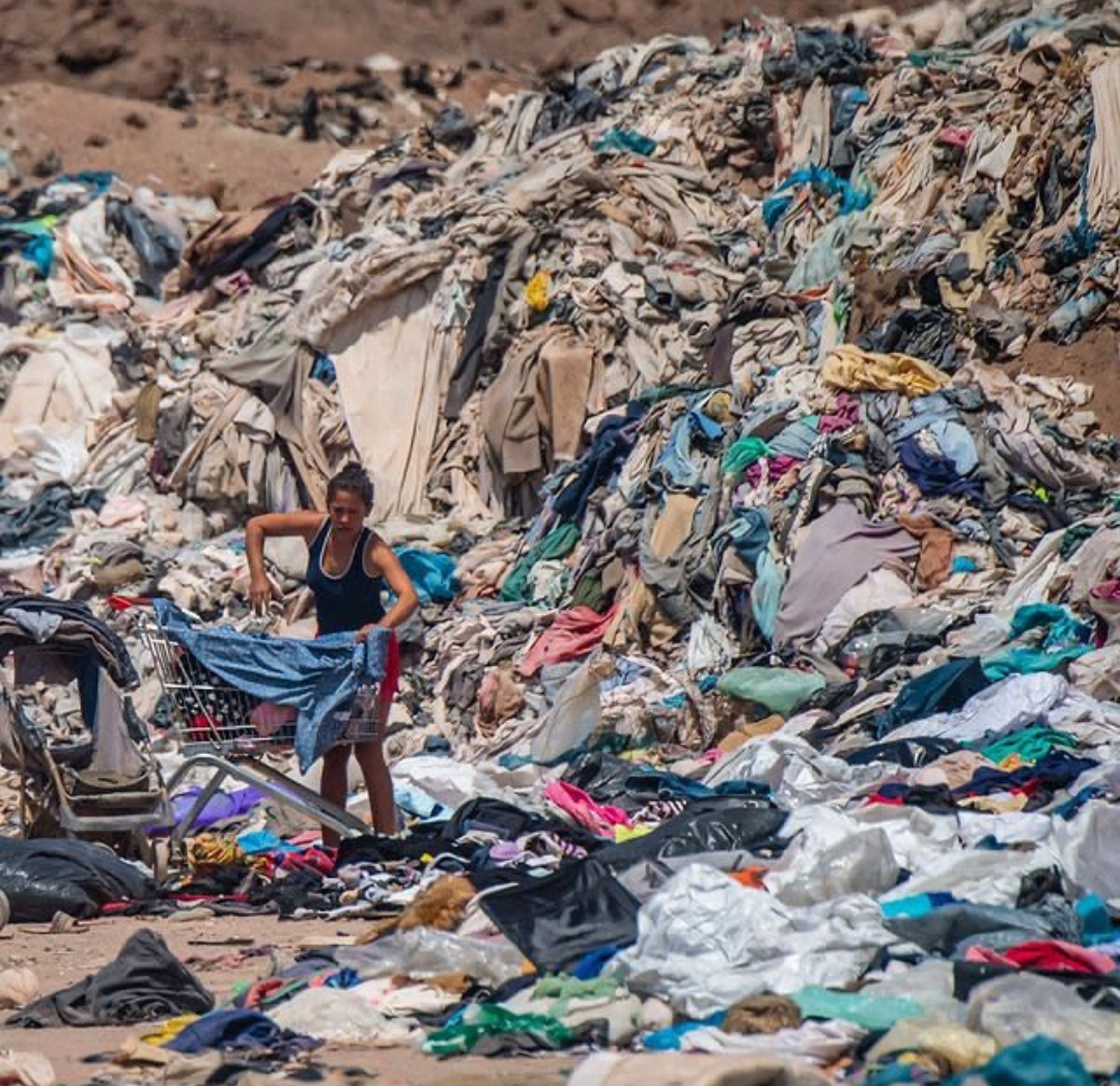 Books and Instruments Library® tweet media