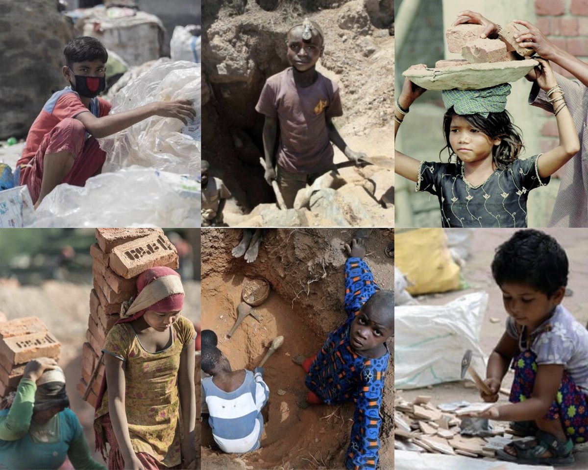 Books and Instruments Library® tweet media