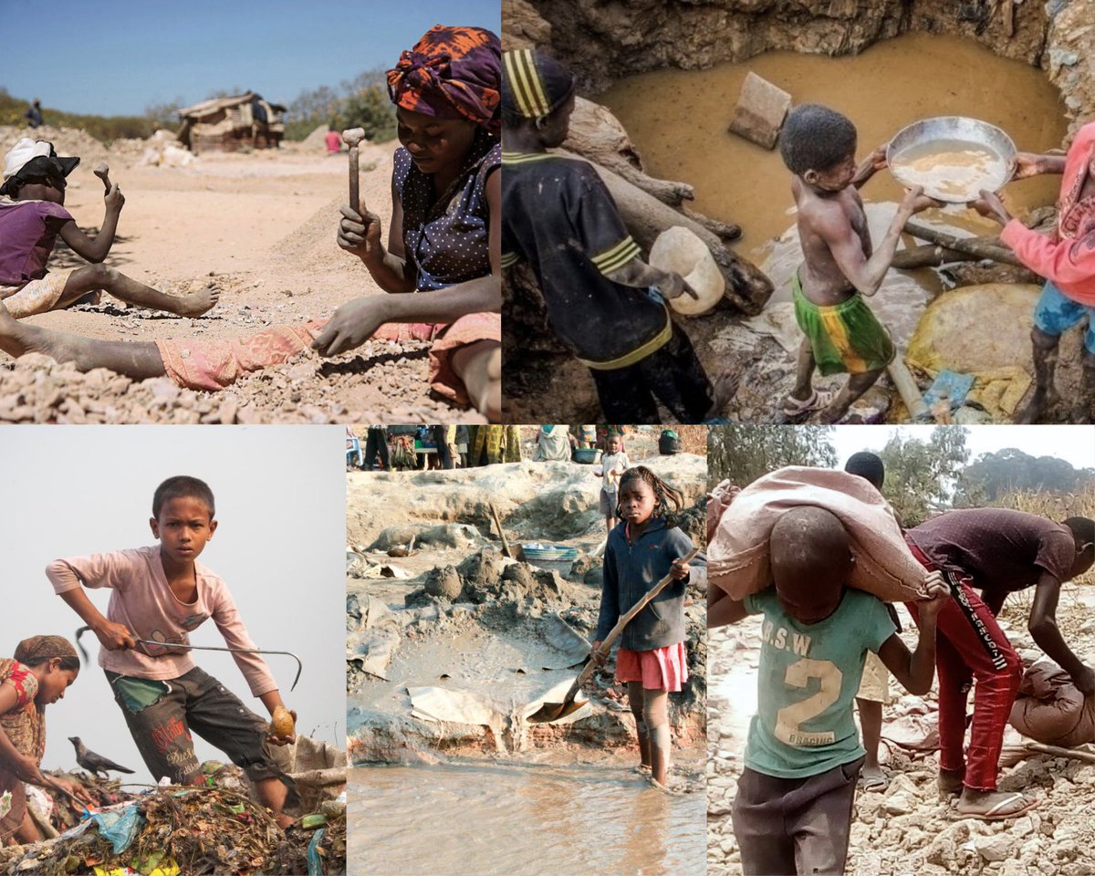 Books and Instruments Library® tweet media