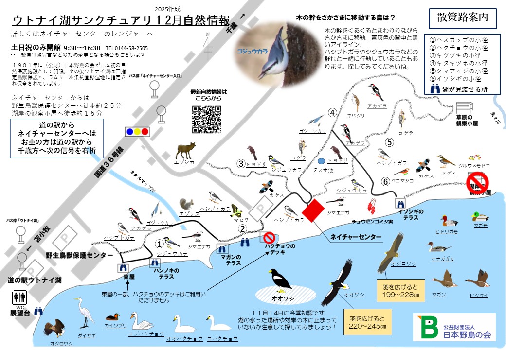 ウトナイ湖の12月の自然情報です。
散策される際の参考にご活用下さい。
#ウトナイ湖 #ネイチャーセンター #自然情報 #北海道 #苫小牧 #札幌近郊 #自然体験 #アウトドア #バードウォッチング #日本野鳥の会 #自然観察