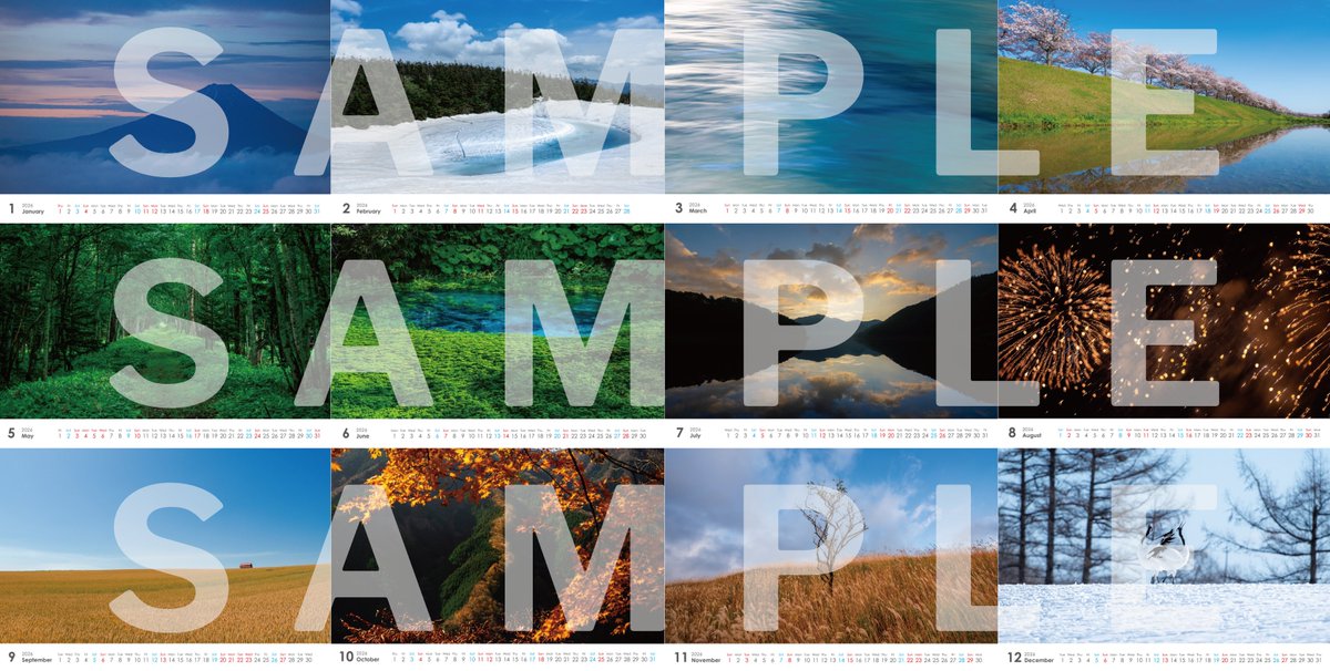 丸山茂樹 tweet media