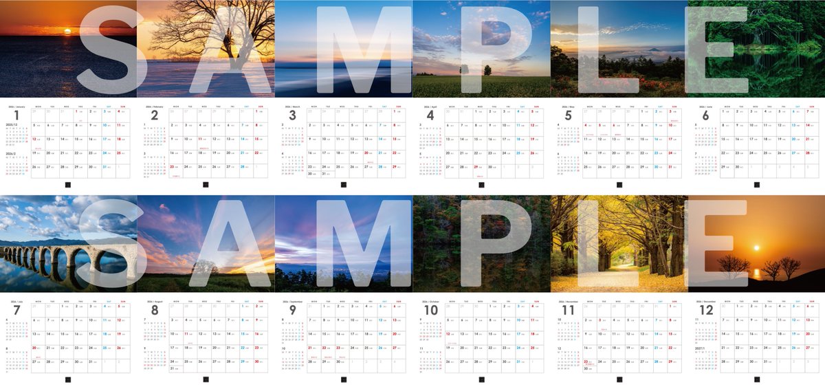 丸山茂樹 tweet media