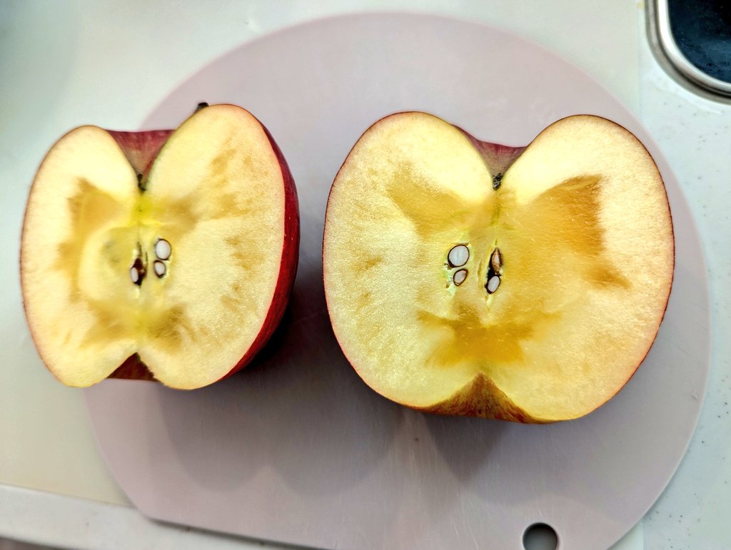 実家(#青森 )から送られてきたリンゴ🍎
蜜だらけやんけ🤤🍯