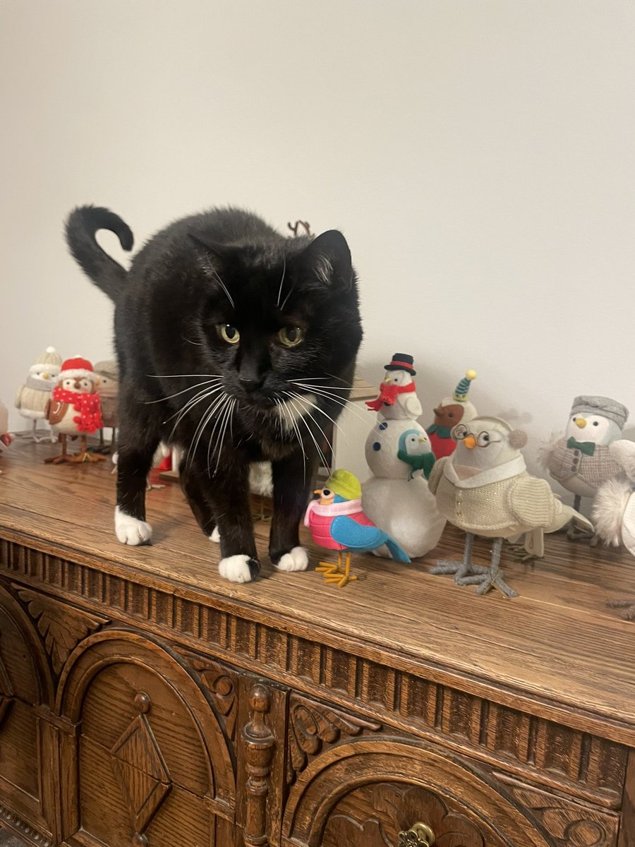 sorcha boots 🍉 tweet media