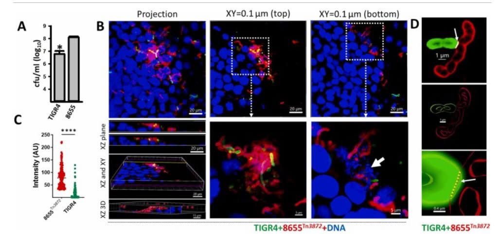Jorge E. Vidal tweet media