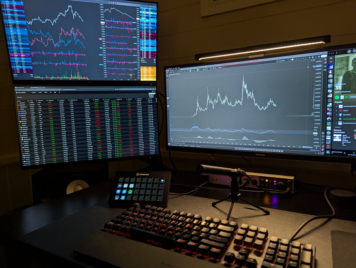 Paradise tweet media