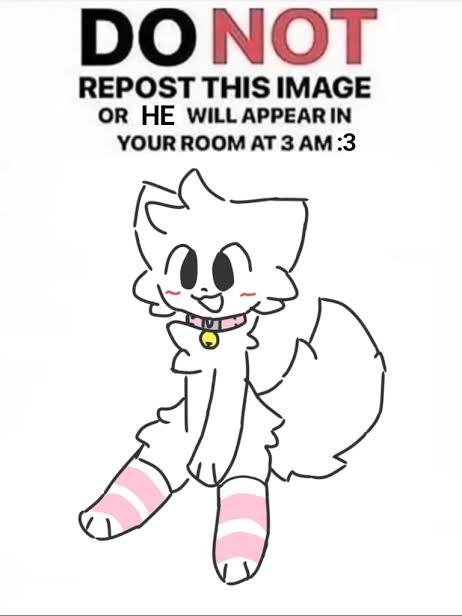 Central Boykisser BR🇧🇷 (@boykisserbr753) on Twitter photo 