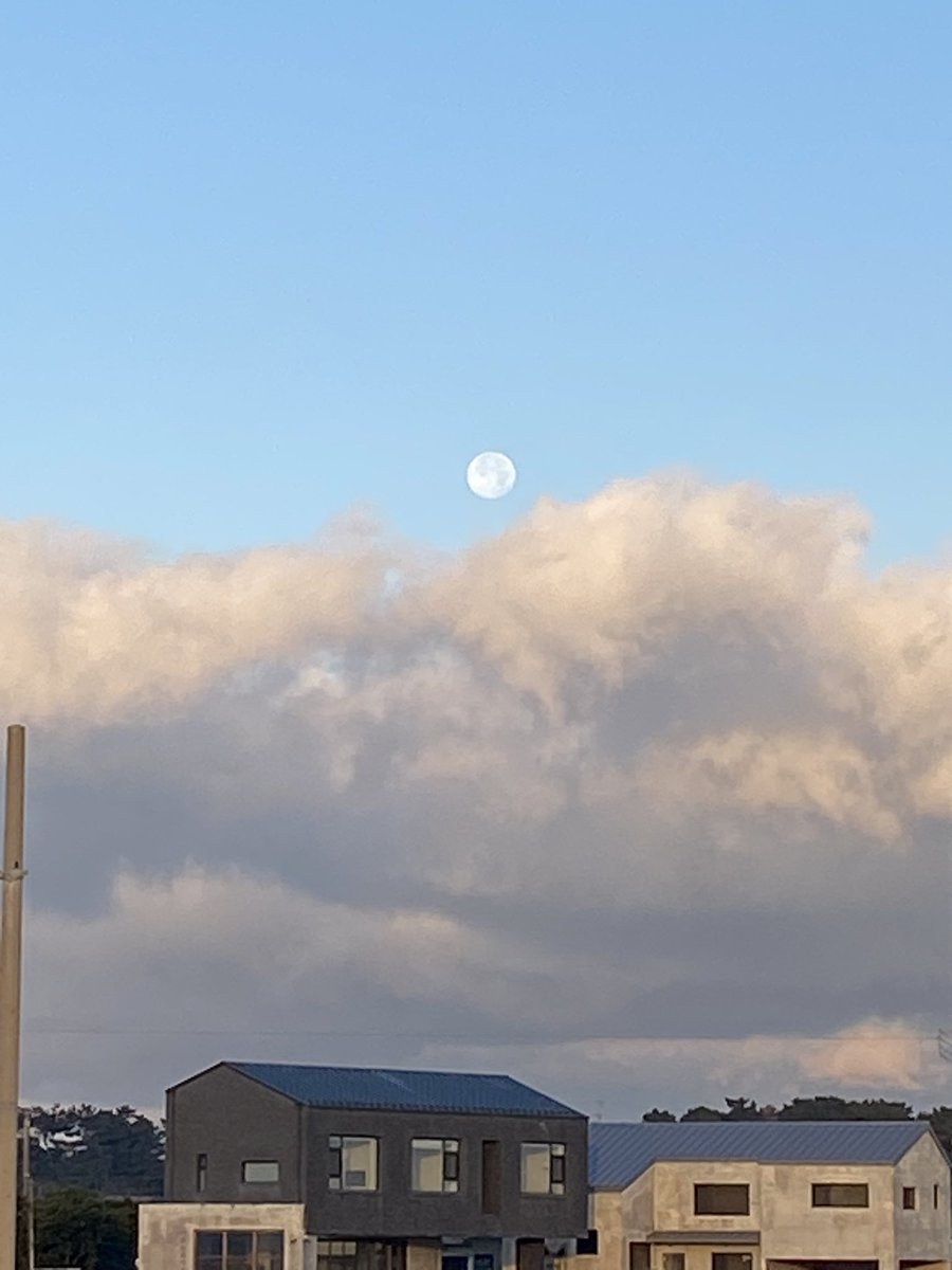 아침달도 어마어마하네.