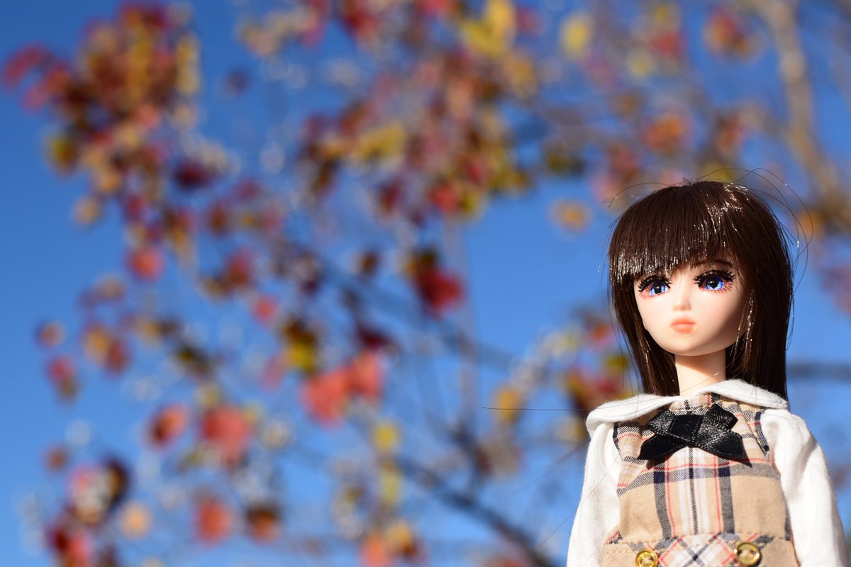 doll_modeler3's tweet photo. 晩秋･･･も、終わった。 https://t.co/B7IrE52pfx