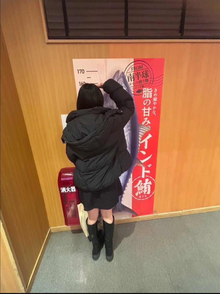 娘、誕生日にマグロと背比べ
#スシロー