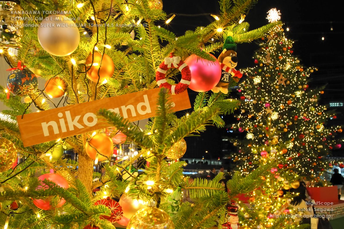 Christmas Forest 横浜ベイクォーター OLYMPUS OM-D E-M1 Mark II