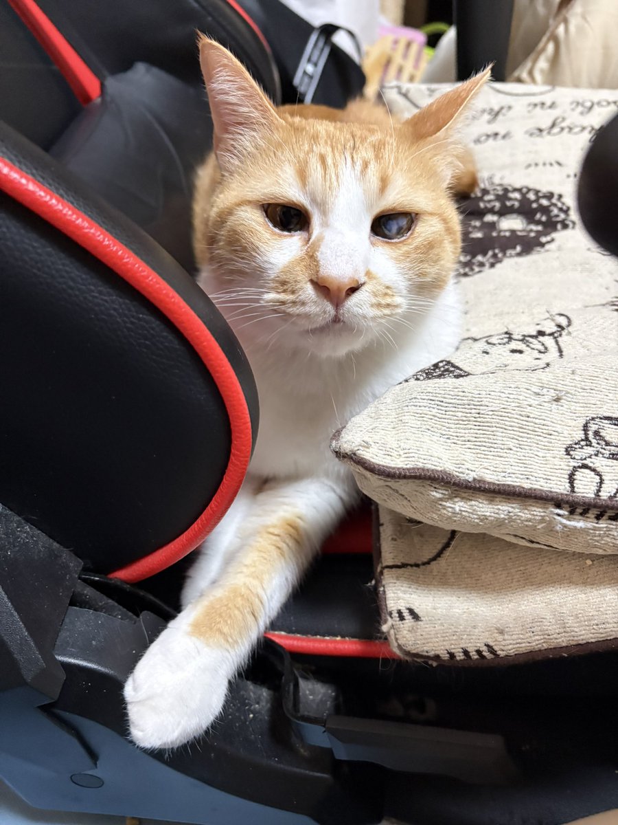 人がトイレに行ってる間に椅子取られてんですけど