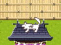 1640_640's tweet photo. います https://t.co/BZhOecqMwb
