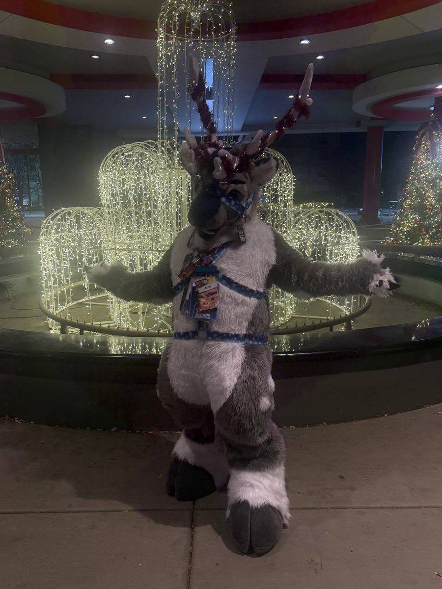 ❄️Aspen the Bou❄️ (they/he) 🏳️‍⚧️Θ∆ 🔜AC tweet media