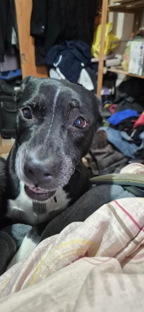 Jorge Rodriguez (@pollo_rdz) on Twitter photo 